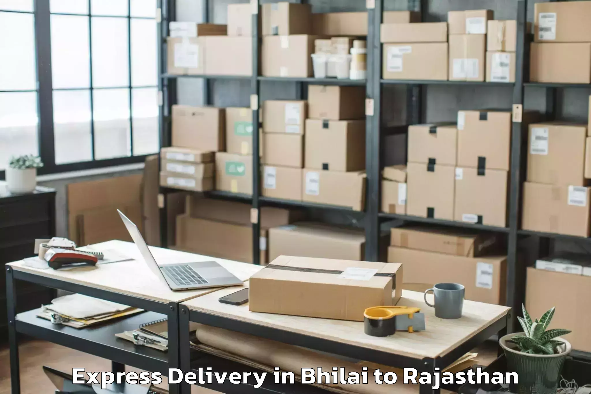 Leading Bhilai to Karauli Express Delivery Provider